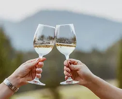 wine-glass-cheers-header-768x304.jpg