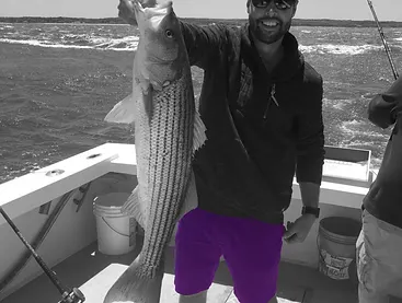 BWCapePurpleShortsFlat100.png
