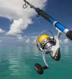 FishKeyWest.jpg
